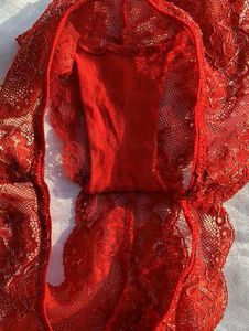 Sheer Lace Red Briefs