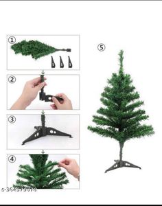 Cristmas Tree Without Decoration