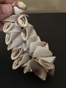 Unique Seashell Coil Bracelet