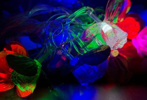 V-Touch Butterfly String Lights