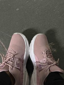 Campus Pink Lace-Up Sneakers