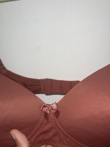 Amante Brown padded Bra (Never worn)