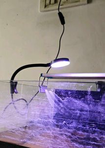 aquarium light