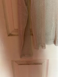 Sparkly Sheer Long Sleeve Top