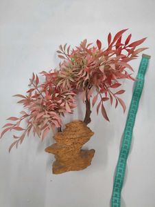 Artificial Bonsai Tree for aquarium or showcase