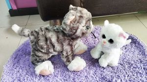 Stuffed Animal Cats