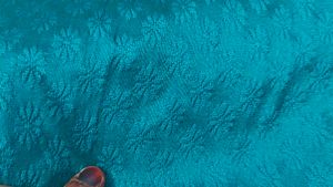 Emerald Green Embroidered Kurti