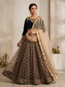 Elegant Sequined Lehenga Choli Set