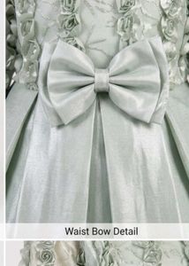 Elegant Embellish frock