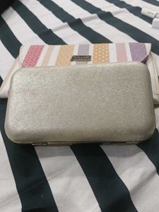 Elegant Silver Clutch