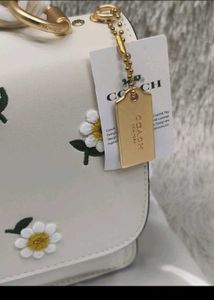 Coach Daisy Chain Shoulder Bag