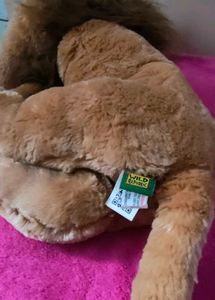 Lion Plush Toy