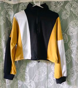 Color Block Cropped Sweatshirt