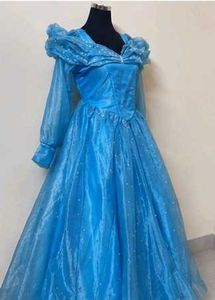 Enchanting Cinderella Blue Ball Gown