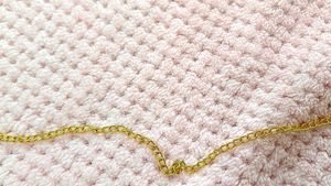 Chic Gold waist band
