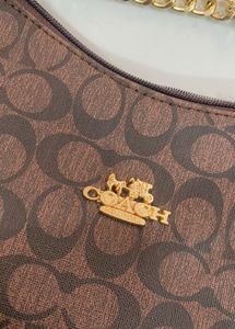 Coach Signature Hobo Bag