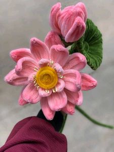 Soft Pink Lotus Flower Accent