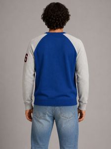 Men's Harvard Team Sport Sweatshirt