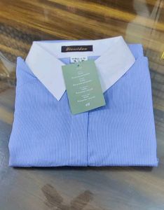 Classic Blue Striped Button-Up Shirt