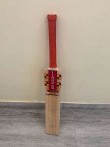gary Nicholas cricket bat English willow