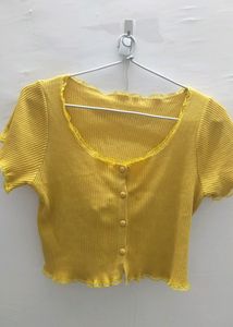 Korean Style Crop Top