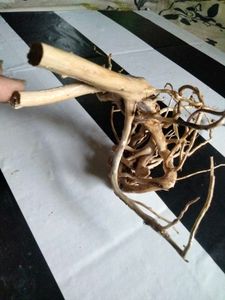 Natural Driftwood Branches and Roots