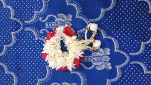 Pack Of 2 Gajara