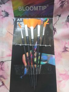 Bloomtip Premium Art Brush Set