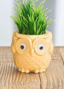 Cute Owl Planter Pots Set of 2