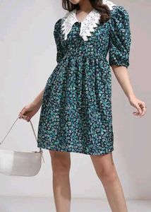 Floral Print Dress with Lace Collar