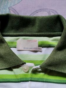 Striped Polo Shirt