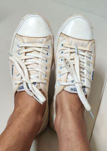 Superdry Cream Canvas Sneakers
