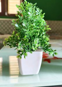 Any 1 Artificial Plant