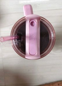 Stanley sipper new