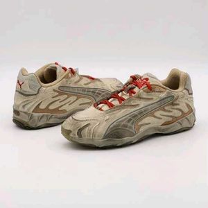 Puma Inhale