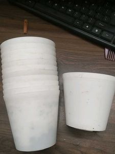 12 White Plastic Plant Pots