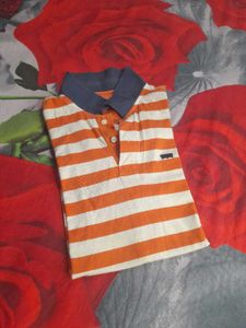 Men polo tshirt