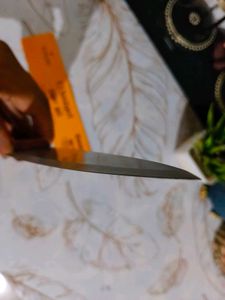 super sharp stainless steel Knife, wooden handle