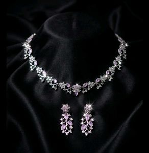 Stunning Necklace and Earring Set