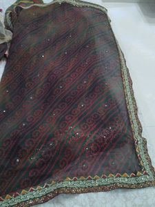 Vibrant Striped Saree with Embellished Border