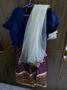 Elegant Lehenga Choli Set