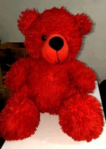 Soft Teddy Bear