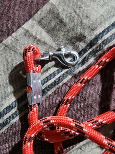 Red Rope Dog Leash