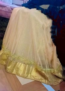 Lehnga Beige Colour( Fix Price)