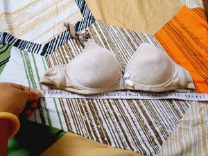 Comfortable Lightly Padded Bra