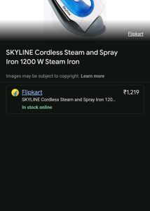 One Of The Rarest Iron Comes With Stand