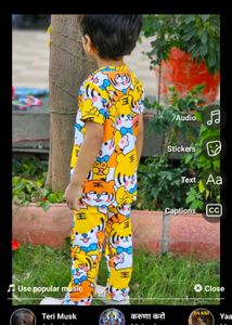 Cute Tiger Print Boys Outfit