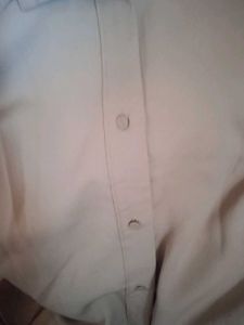 Classic Beige Button-Up Shirt