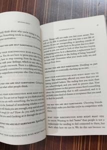 The Mountain is You: Transforming Self-Sabotage in