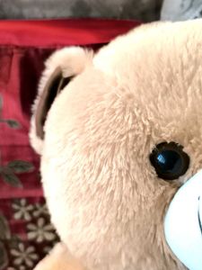 Teddy Bear 🧸